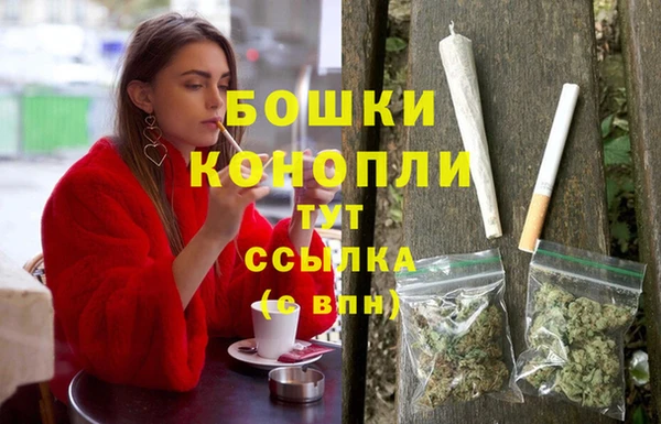 ПСИЛОЦИБИНОВЫЕ ГРИБЫ Верхний Тагил