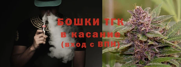 ПСИЛОЦИБИНОВЫЕ ГРИБЫ Верхний Тагил