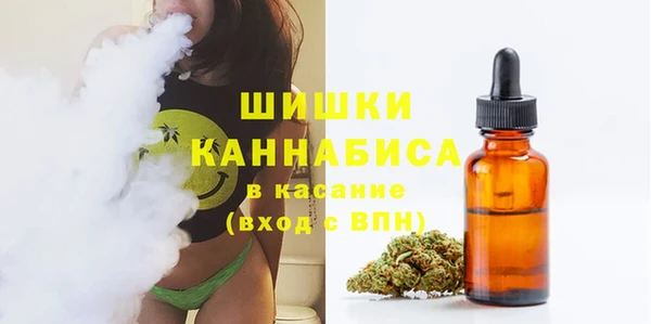 ПСИЛОЦИБИНОВЫЕ ГРИБЫ Верхний Тагил