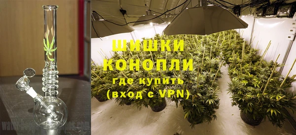 ПСИЛОЦИБИНОВЫЕ ГРИБЫ Верхний Тагил