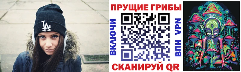 Купить где  Снежногорск  Галлюциногенные грибы мицелий 