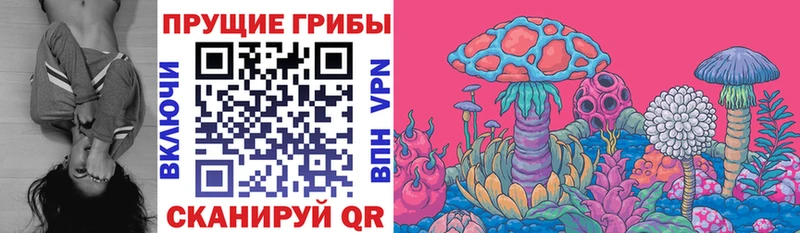 Псилоцибиновые грибы Psilocybine cubensis Снежногорск