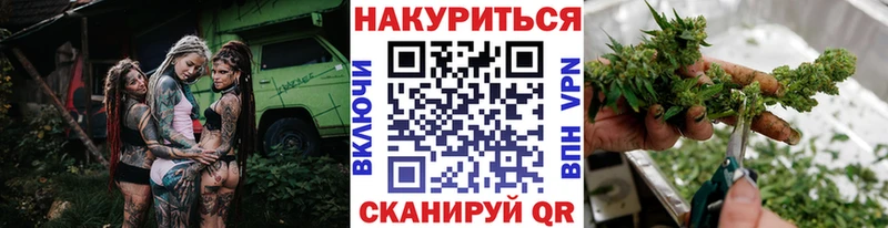 Купить закладки  Снежногорск  Шишки марихуана THC 21% 